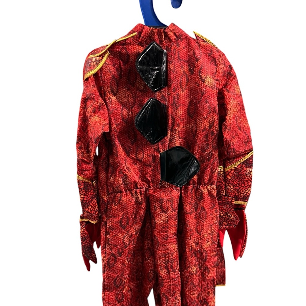 HALLOWEEN COSTUME